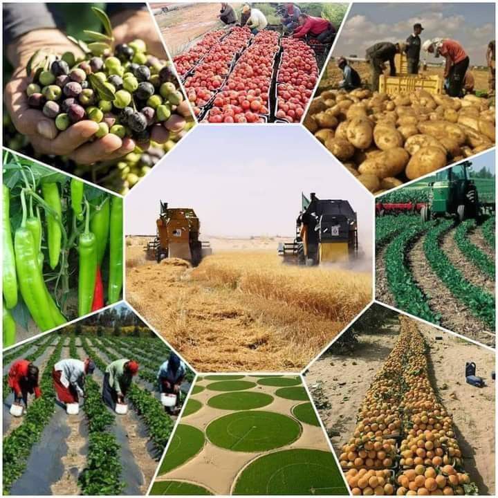 agriculture